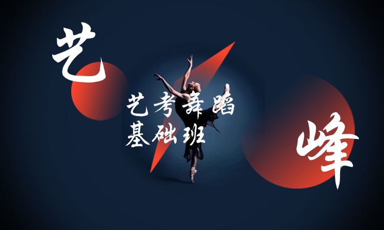 艺考舞蹈基础班